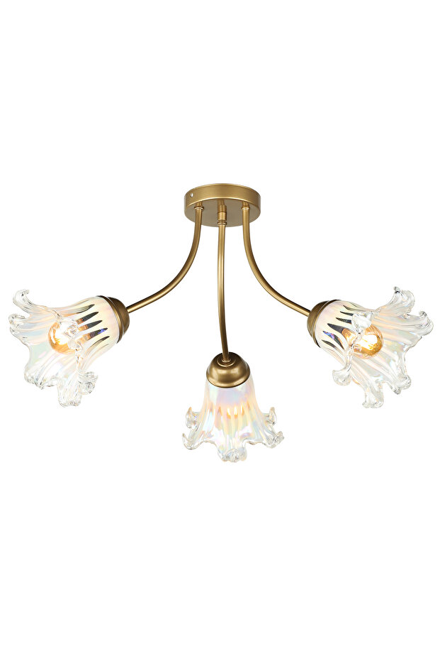 Pablo 3.Lü Avize Eskitme - 3