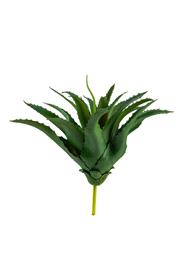 الصبار المدبب الاصطناعي - 4