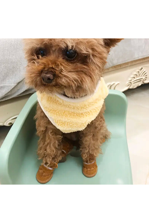 Köpek Botu & Ayakkabısı - 1