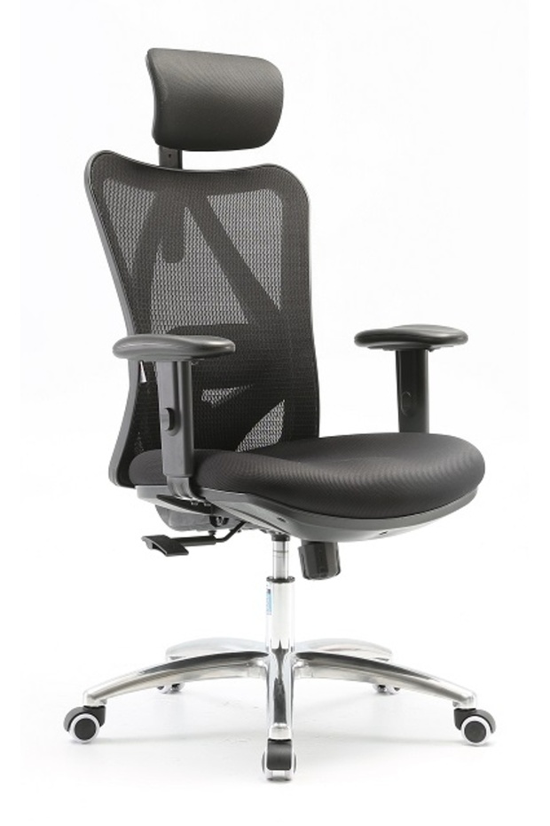 Sihoo Ergonomic Office Chair With Adjustable Lumbar, Headrest, And Reclining Backrest (BLACK)