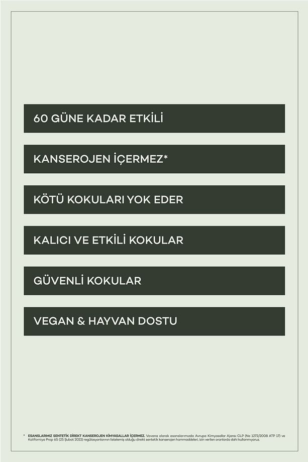 Araba Klima Kokusu, Flat Oto Kokusu, Profesyonel Otomobil Kokusu - Neutral - 4