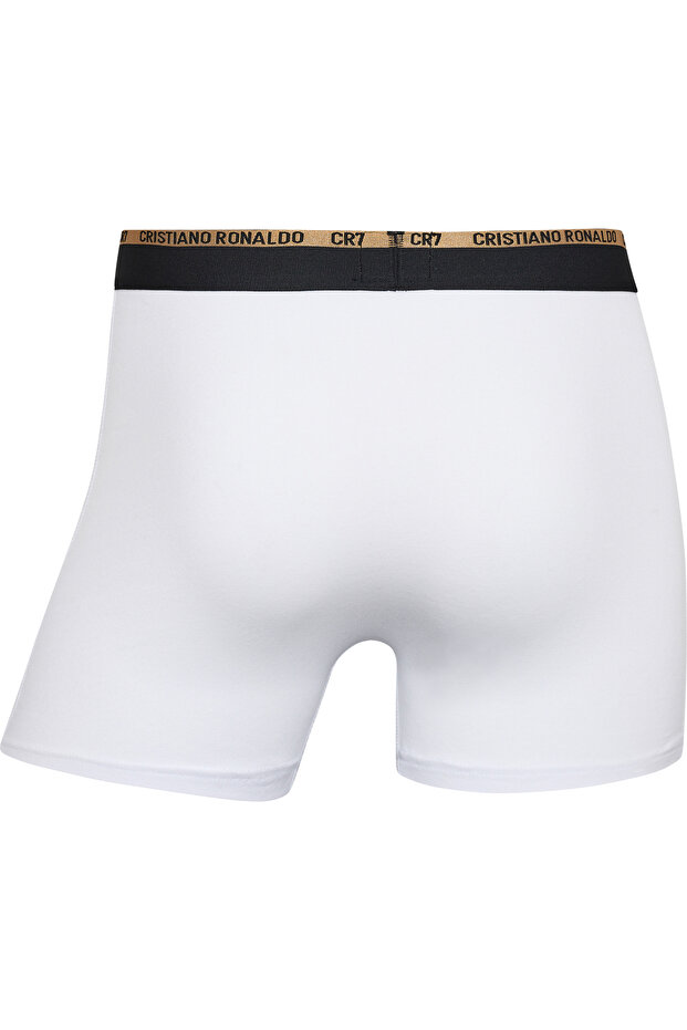 Mens Basic, Trunk, 3-pack Pure Cotton - 5