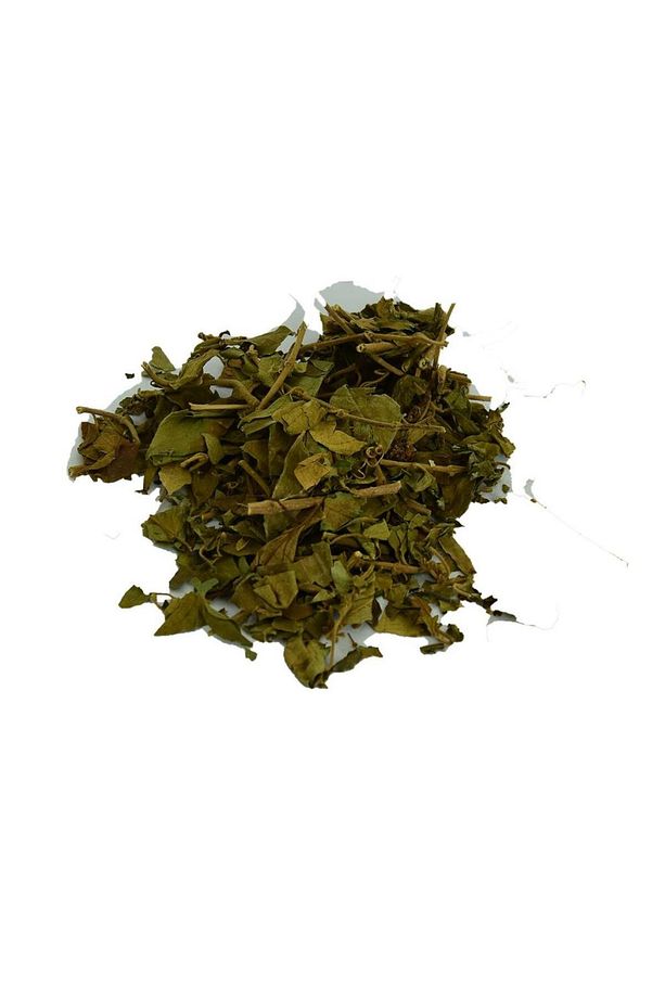 Doğal Saf Cinnema Yaprağı Gurmar Otu Gymnema Sylvestr 100gr - 2