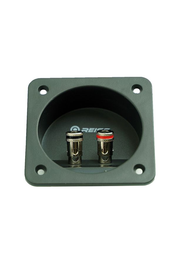 REİSS AUDİO RS-SPT2 2Lİ SUBWOOFER TERMİNAL - 1