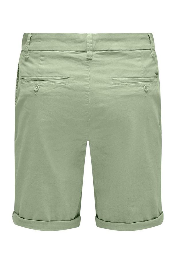 Onspeter Reg Twill 4481 Shorts Noos Erkek Şort - 2