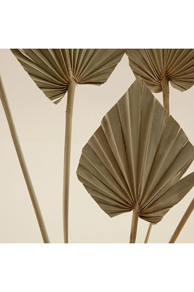 Ella Demet Kuru Çiçek Natural - 4