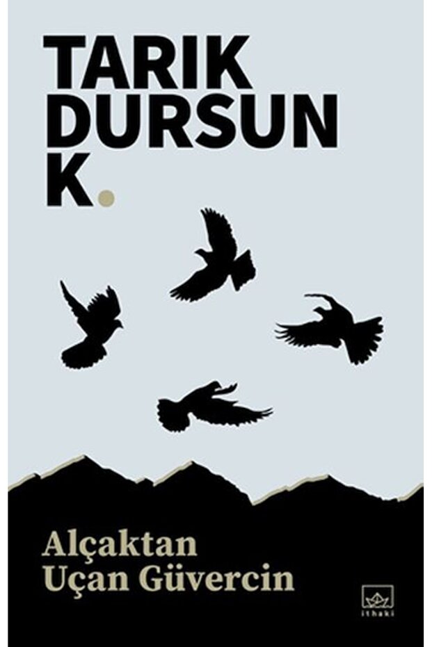 Alçaktan Uçan Güvercin