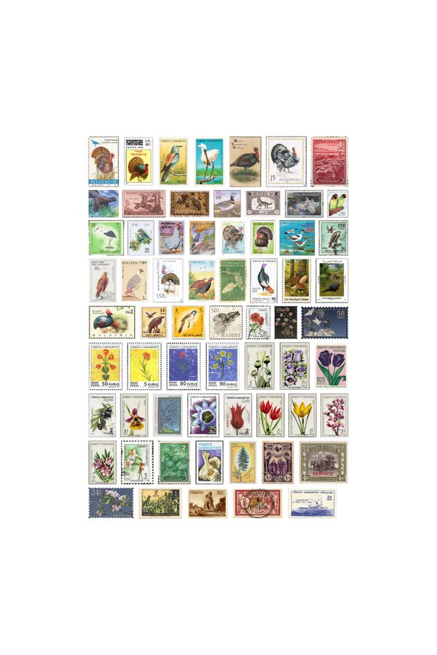 64Pcs Vintage Animal Nature Stamps Collection Sticker Set - Sticker Set
