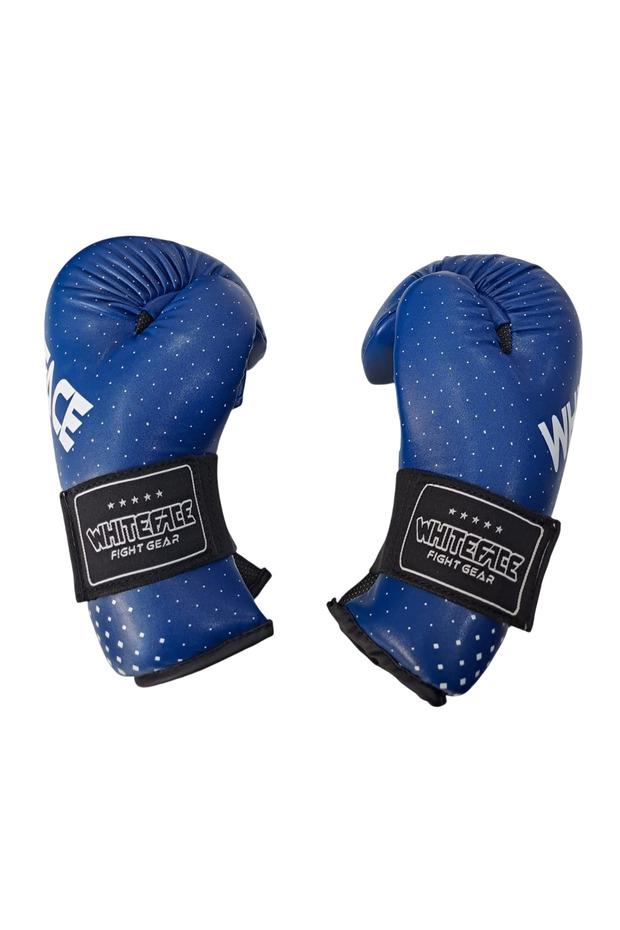 Kickboks Point Fight Eldiveni - 5