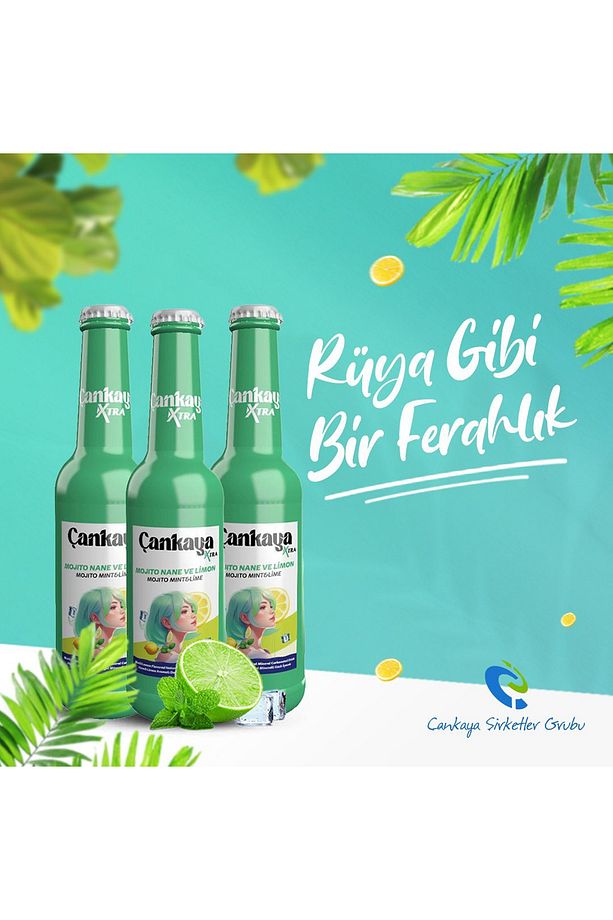 Çankaya Mojito Nane Limon 250 ml (6 adet) - 3