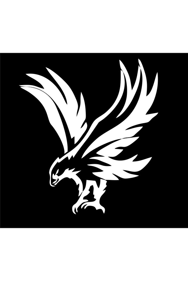 ملصق سيارة AVLANMAYA READY EAGLE (I17X19 سم)