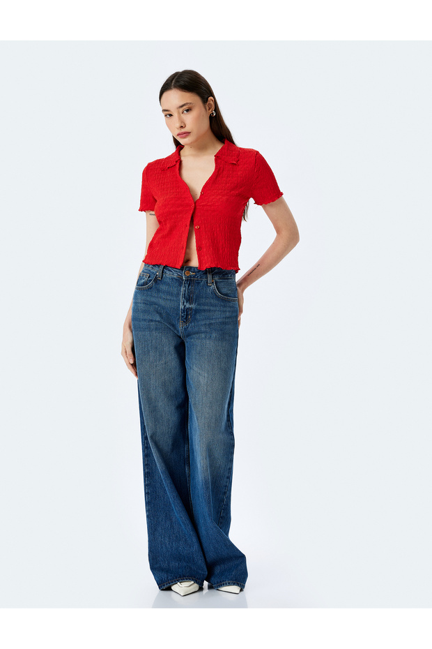 Buttoned Shirt Collar Textured Short Sleeve Blouse Wrinkle