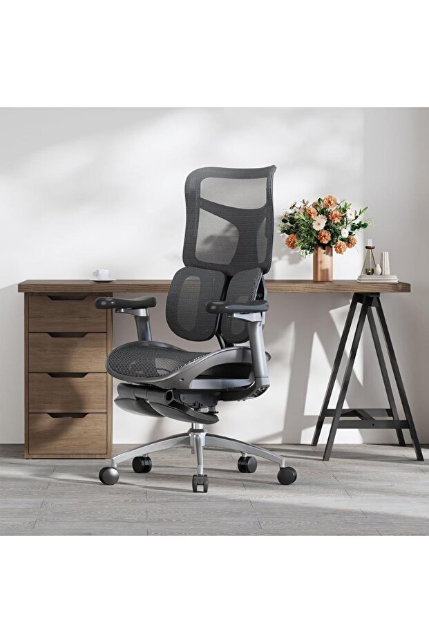 Sihoo High Back Mesh Chair With Footrest, Dynamic Lumbar Support Ideal For Home And Office - Black