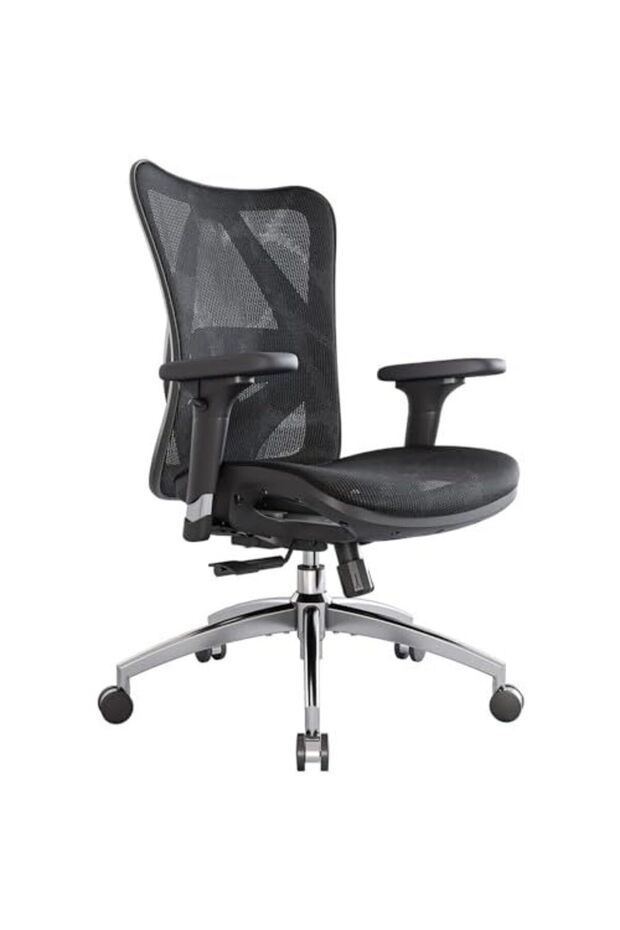 Sihoo M57 Medium Back Ergonomic Mesh Chair With 3d Arm Rests And Lumbar Support - Black