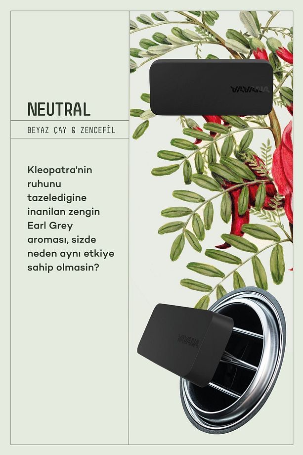 Araba Klima Kokusu, Flat Oto Kokusu, Profesyonel Otomobil Kokusu - Neutral - 2