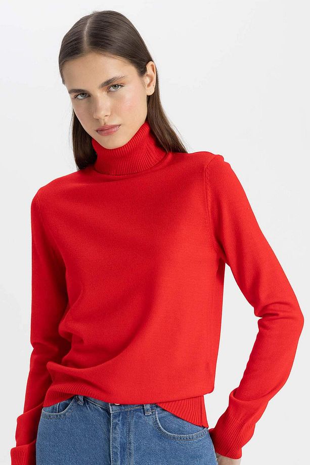 Pullover - 1