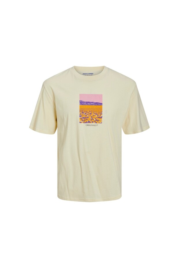 Jack&Jones Men's T-Shirt 12230734