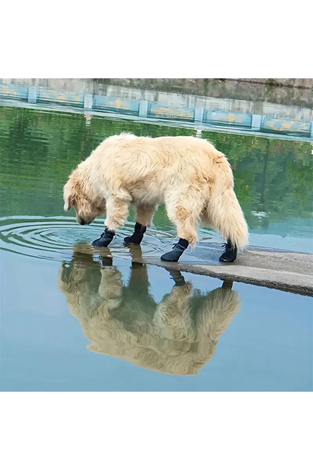 Barkie Su Geçirmez Köpek Ayakkabısı - 3