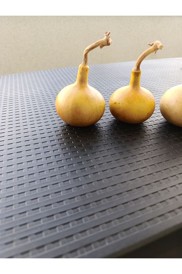 Minyatür Su Kabağı Tek Boğum - 2
