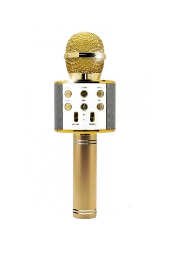 Kareoke Mikrofon Bluetooth Hoparlör Ses Değiştirme-SD KART-USB Şarjlı Özellikli - 2