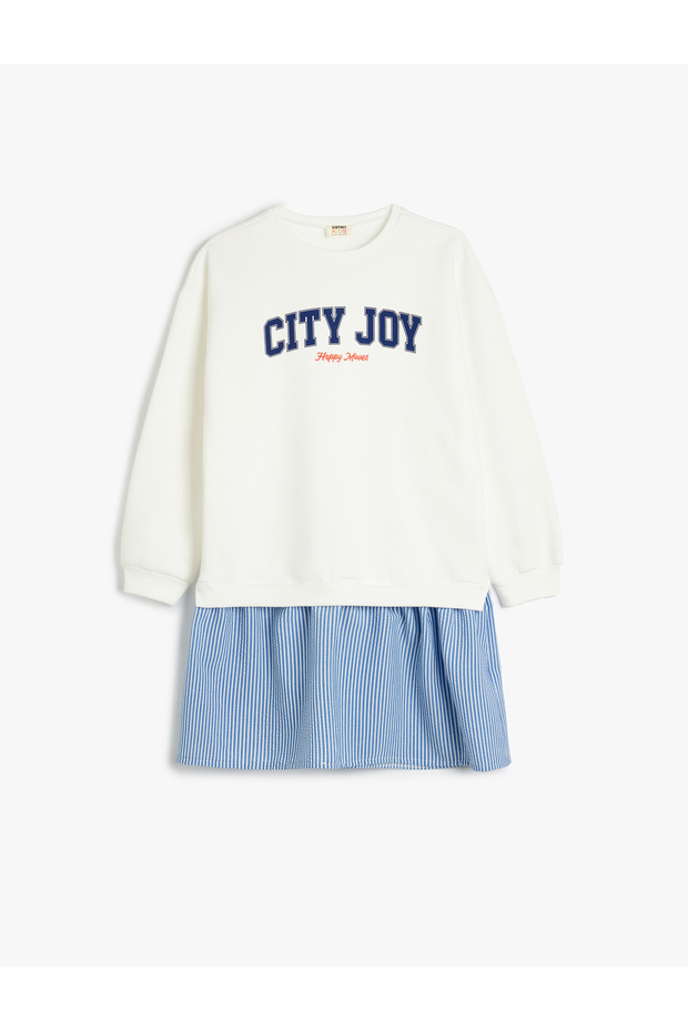 Print Detailed Long Sleeve Crew Neck Sweat Dress