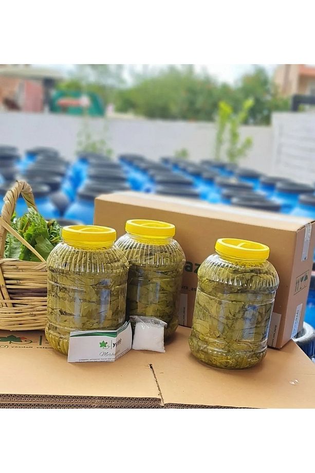 Salamura Asma Yaprağı - 5 Lt - Sıkı Basım - 4