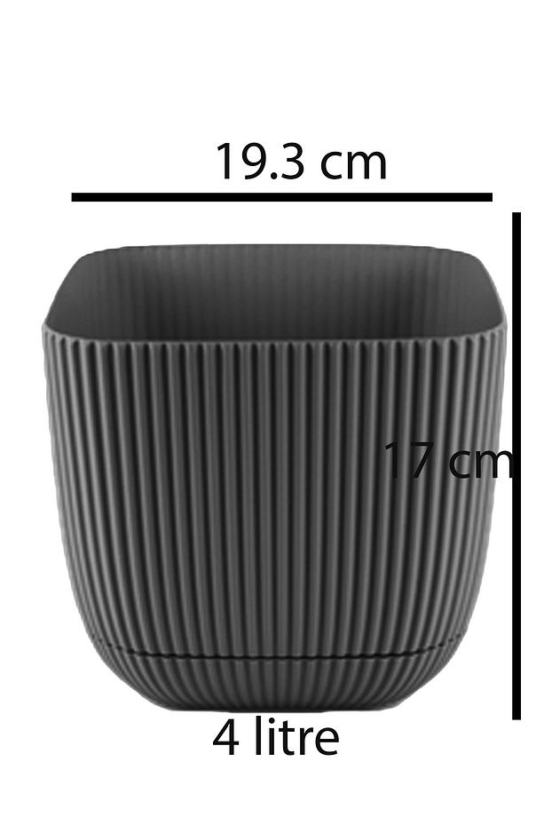 No 4 Kare Dekoratif Kaktüs Ve Çiçek Saksı 4 Lt 3 Adet - 3