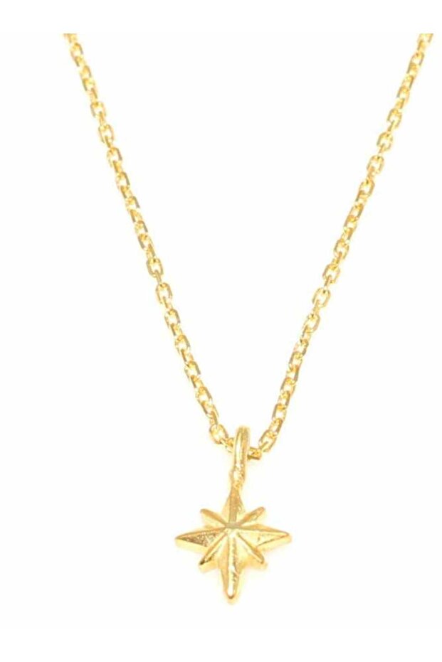 925 Ayar Gümüş Kutup Yıldızı Kolye, Sarı - 2