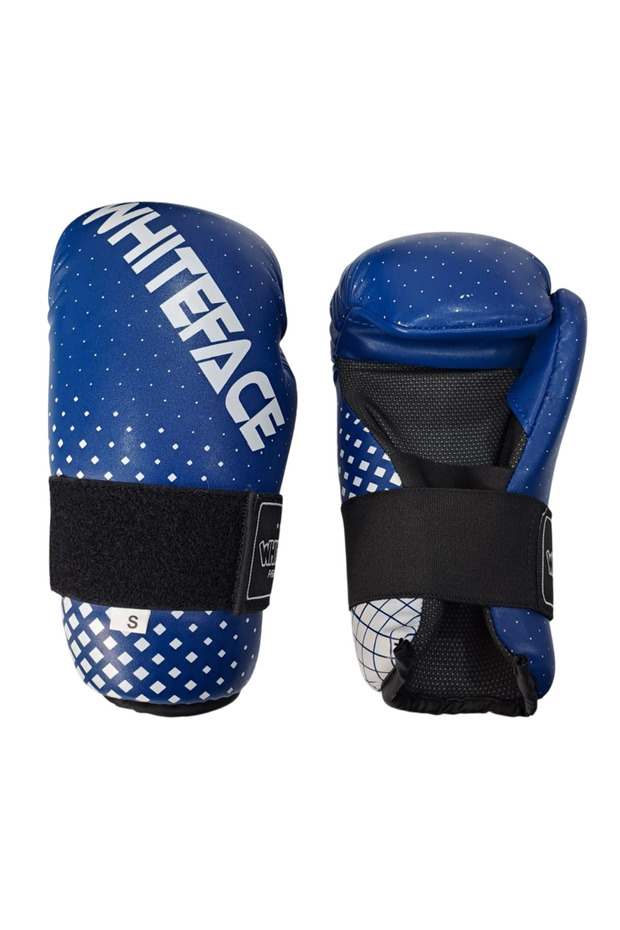 Kickboks Point Fight Eldiveni - 3