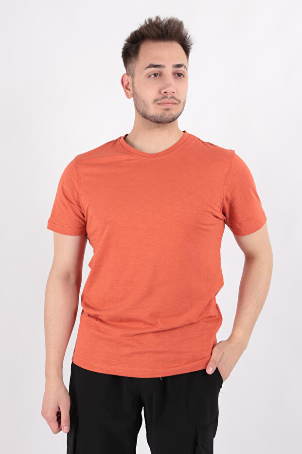 4602 Men's Crew Neck Flamed T-shirt