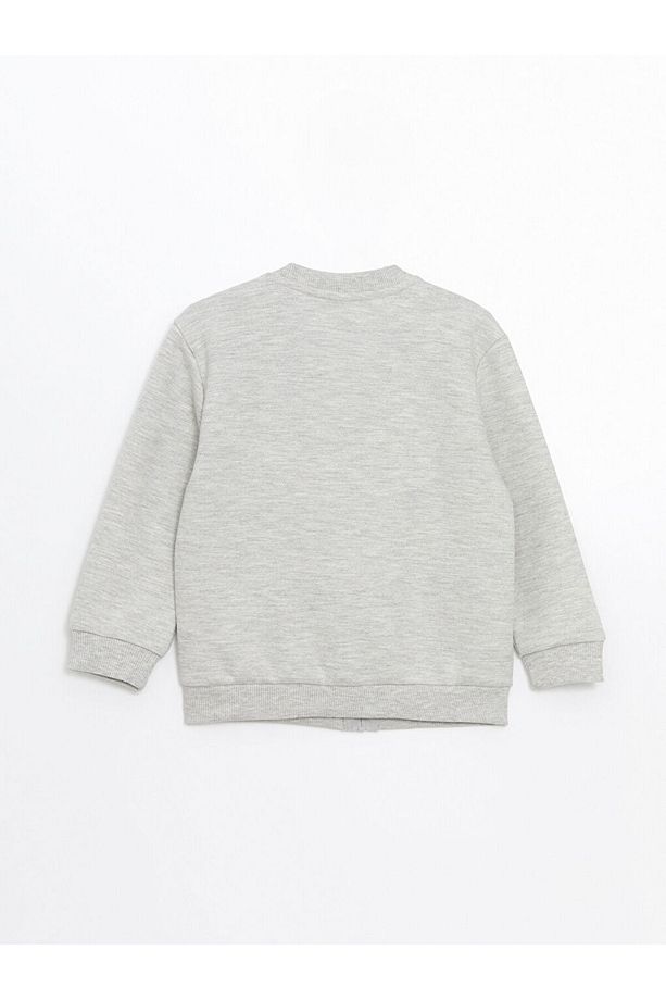 LCW Kids Bisiklet Yaka Basic Erkek Çocuk Hırka - 3