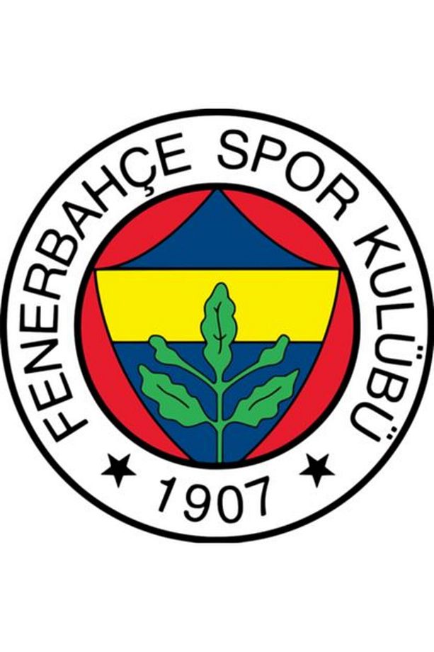 Taç Lisanslı Fenerbahçe Klasik Tek Kişilik Battaniye - 2