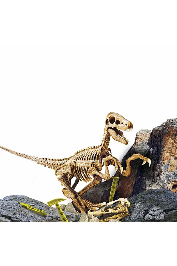 سوبر كيت فيلوسيرابتور - مجموعة العلوم - 3