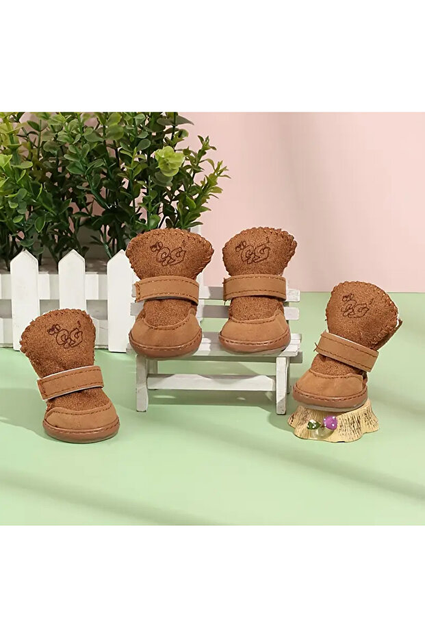 Köpek Botu & Ayakkabısı - 2