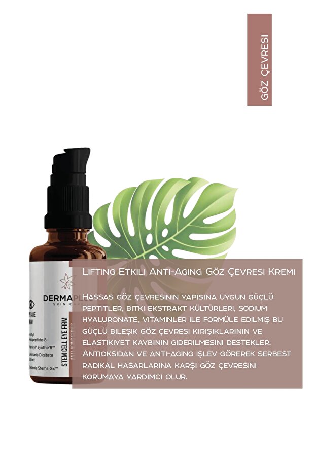 STEM CELL EYE FIRM - 4