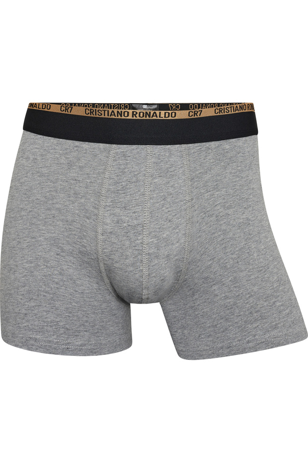 Mens Basic, Trunk, 3-pack Pure Cotton - 8