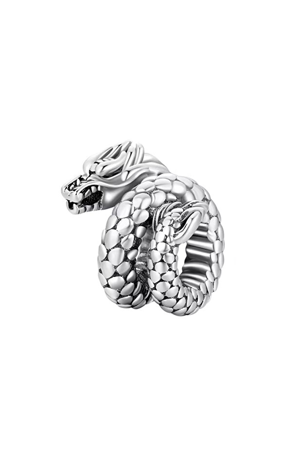 Görkemli Ejdarha Gümüş Charm - 1