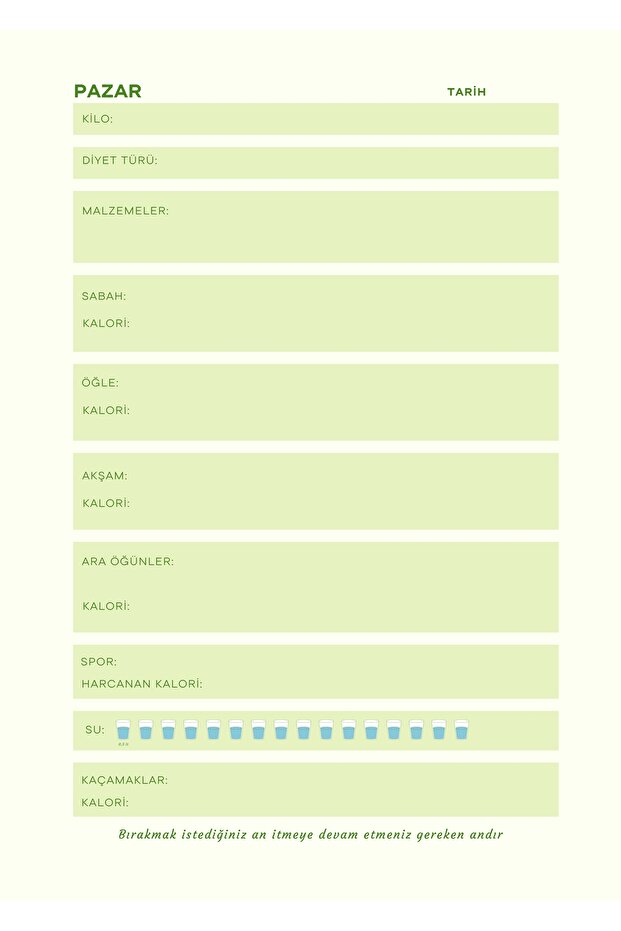 Diyet Defteri - 6