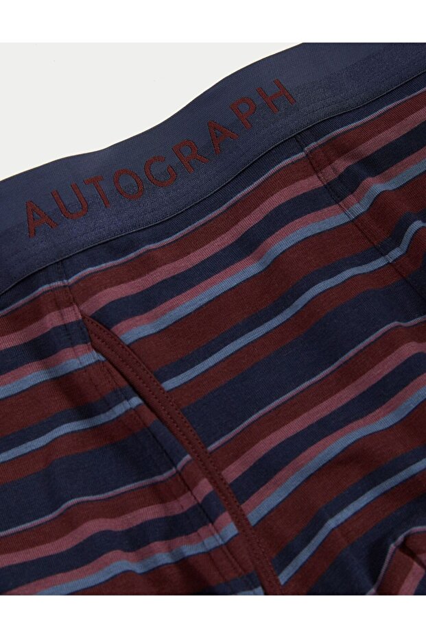 3'lü Regular Fit Trunk Seti - 2