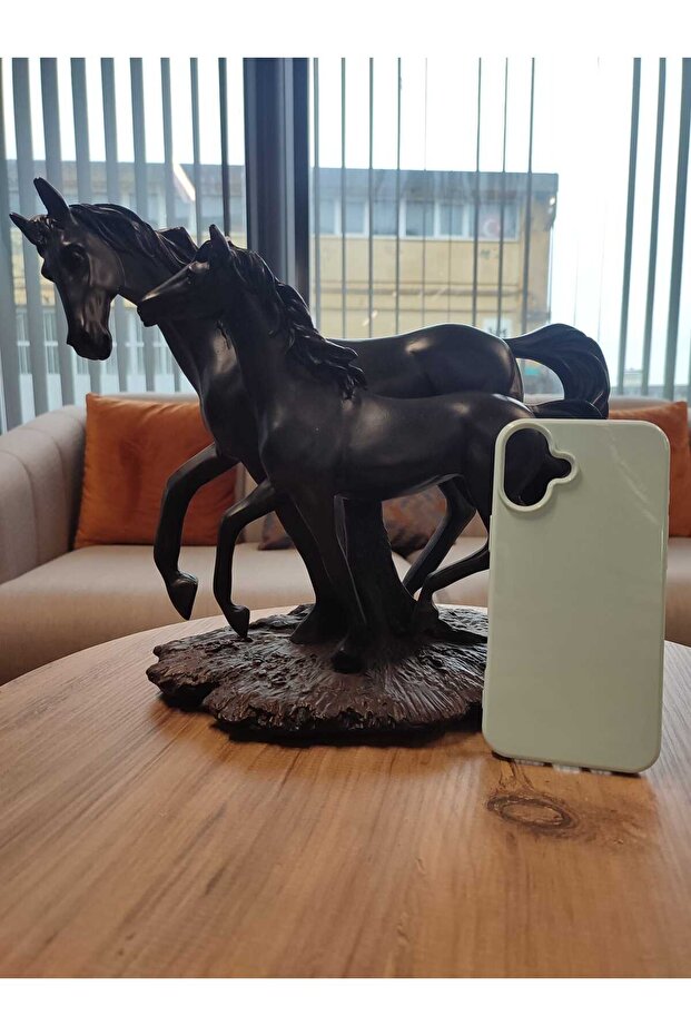 TBEM iPhone 16 Plus Telefon Kılıfı