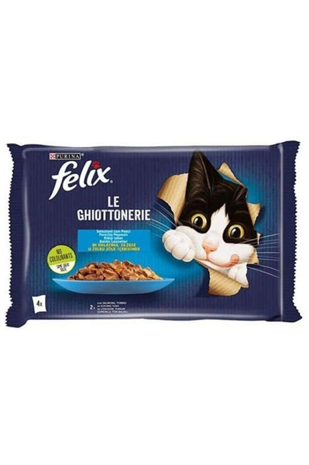 Multipack Pouch Somonlu Ve Ton Balıklı Yetişkin Kedi Konservesi 4x85 gr - 1