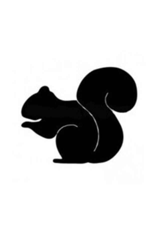 Squirrel Wall Decor Sticker A+ Quality 40 X 32 cm Durable