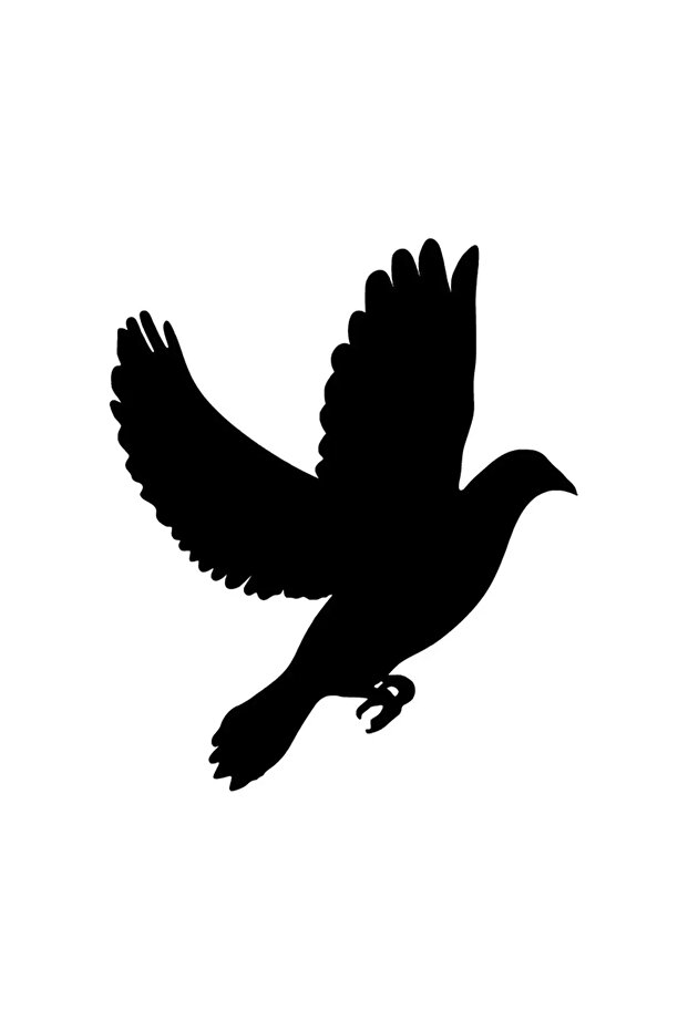 ملصق عالي الجودة من Flying Dove مقاس 10 × 12 سم