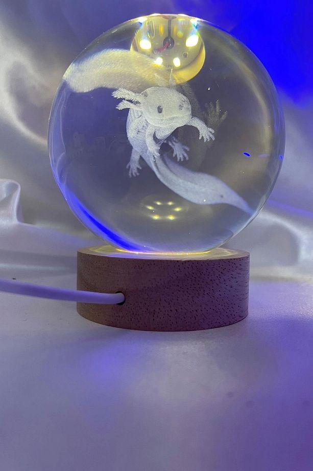 3D Led Işık Cam Küre Tek Renk Gece Lambası Axolotl Mucizevi Yenilenme  8 cm Mega Boy - 8