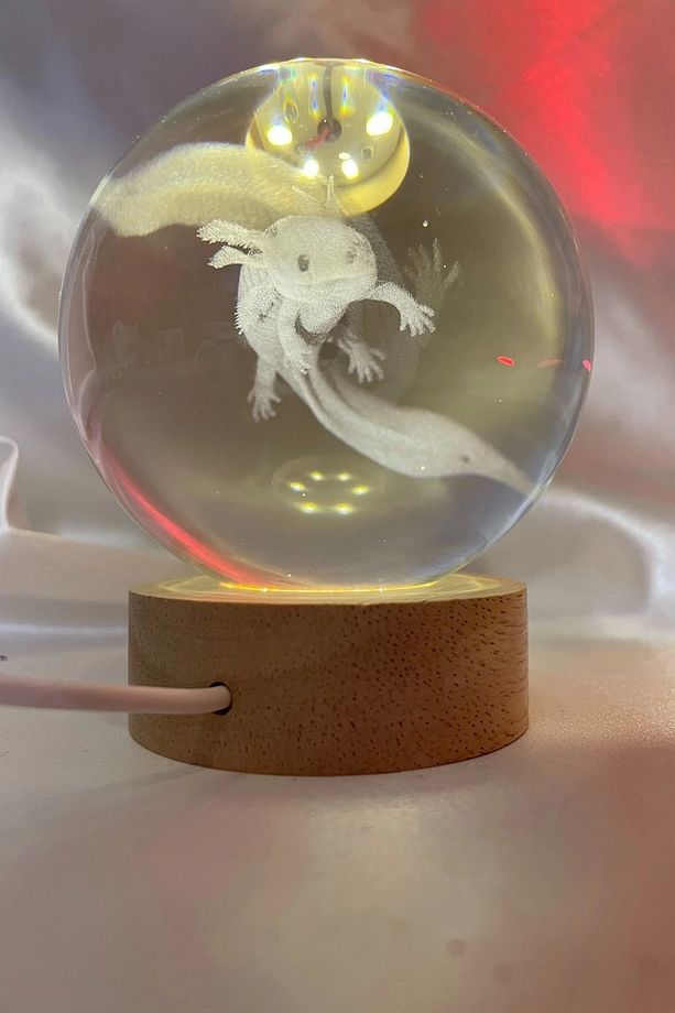 3D Led Işık Cam Küre Tek Renk Gece Lambası Axolotl Mucizevi Yenilenme  8 cm Mega Boy - 4