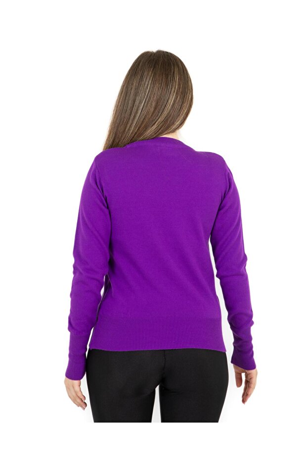 guler rotund Regular Mold basic Tricotaj Pulover Violet - 8