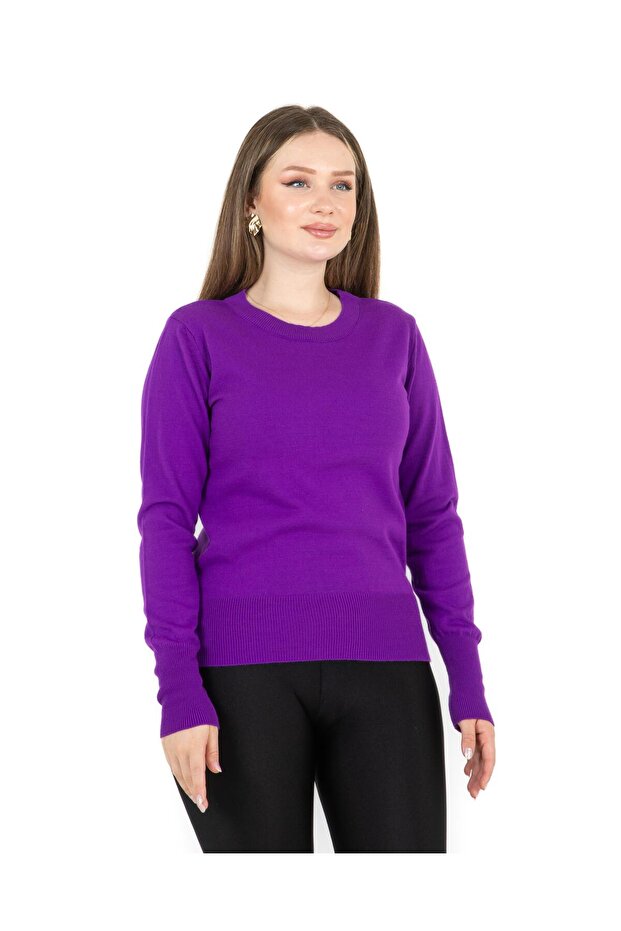 guler rotund Regular Mold basic Tricotaj Pulover Violet - 7