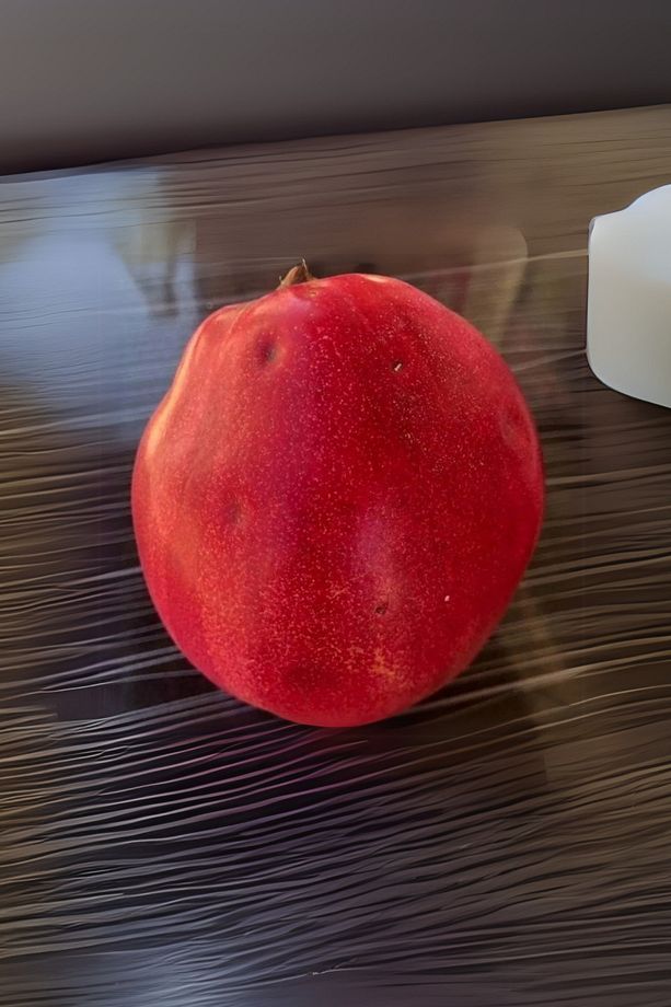 Aşılı Vahapbey Kırmızı Ayva Fidanı 3 Yaş - 3