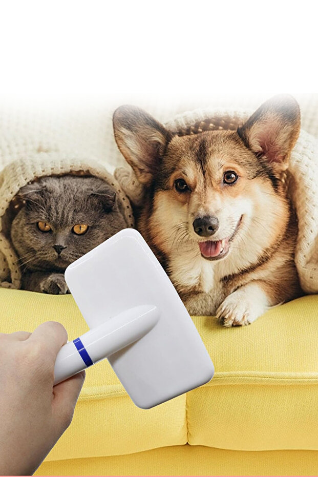Pet Comb - Feather Dislocation Opener with Handle, Play Tunnel with Flea Lice Pick Comb - 8
