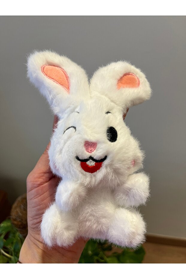 Cute Rabbit Plush Keychain | Bag Accessory | Bag Charm